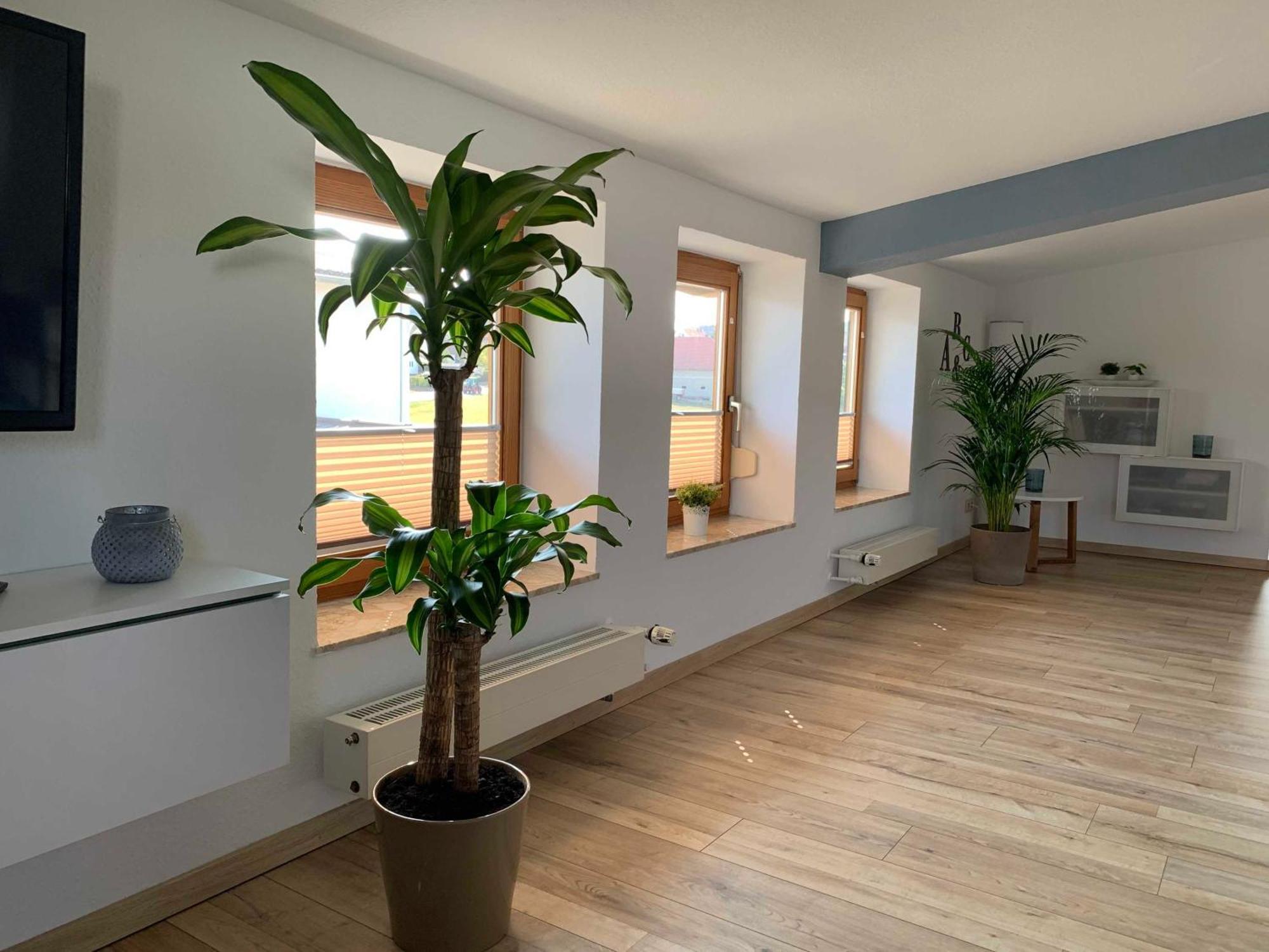 Ferienwohnung In Den Wiesen Albertshausen Esterno foto